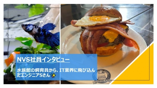 【NVS社員インタビュー#48】水族館の飼育員から、IT業界に飛び込んだエンジニアSさん✨