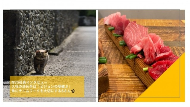 【NVS社員インタビュー】入社の決め手は「ビジョンの明確さ」 常にチームワークを大切にするSさん