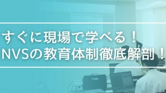 【NVSの教育体制徹底解剖】会社選びの条件は充実した研修とすぐに現場に出れること！