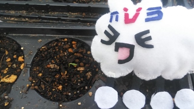 【職種研究】なくならない仕事？ネットワークエンジニアの魅力に迫る