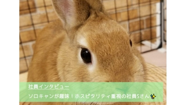 【NVS社員インタビュー#31】ソロキャンが趣味！ホスピタリティ重視の社員Sさん