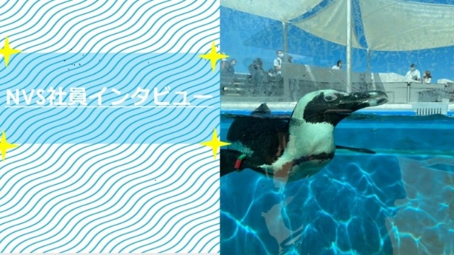 【NVS社員インタビュー#36】ゲーム開発からエンジニアの世界へ！ゲーム大好きなNさん✨