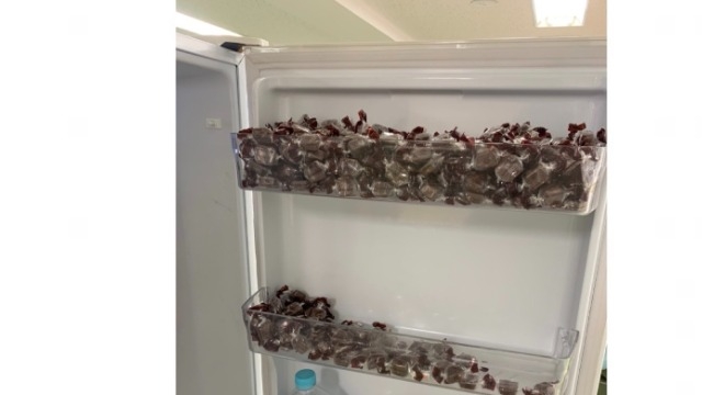 【埋まりすぎ】こんな冷蔵庫見たことあります？？