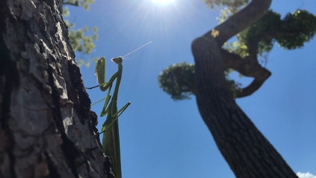 “映え？”と出会える会社