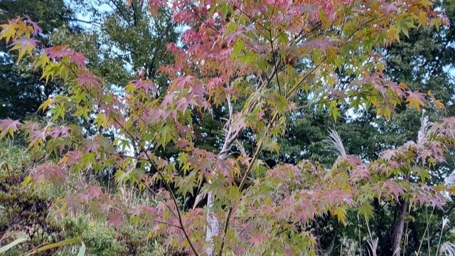 それぞれの山ライフ
