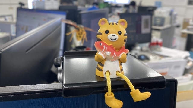 もうすぐ寅年！