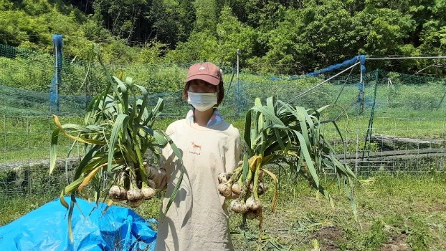 自給自足も夢じゃない？ちょっと変わった福利厚生②