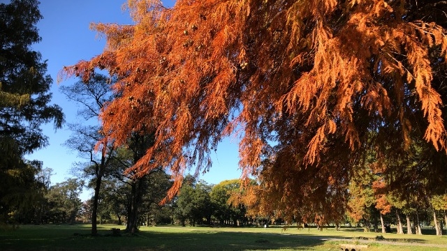 え？今更でもいいんですか？