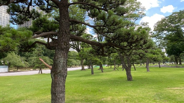 ○○を探せ※高難易度