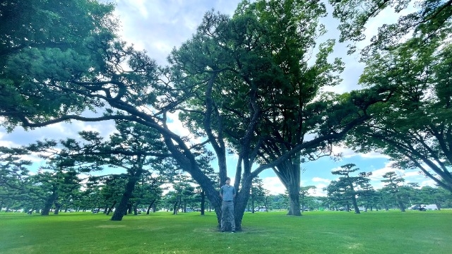 大人の夏休みが終わりました！