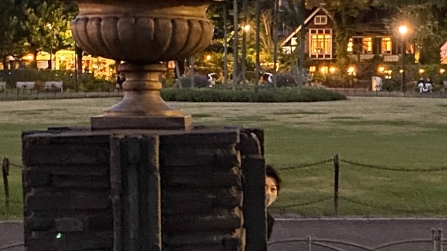 皆さんが叶えたいもの（充実度）