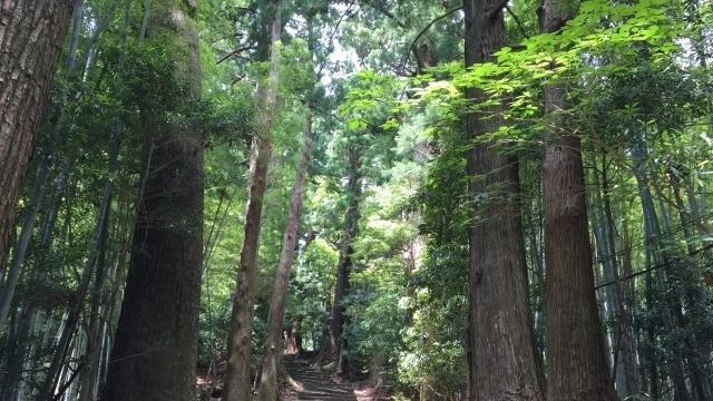 今行きたいところについて考えてみる