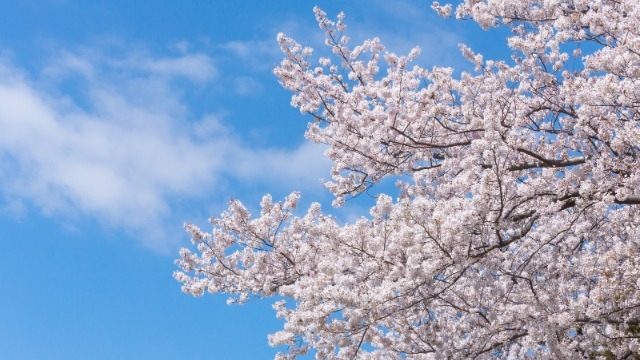 本日は22新卒入社式！！