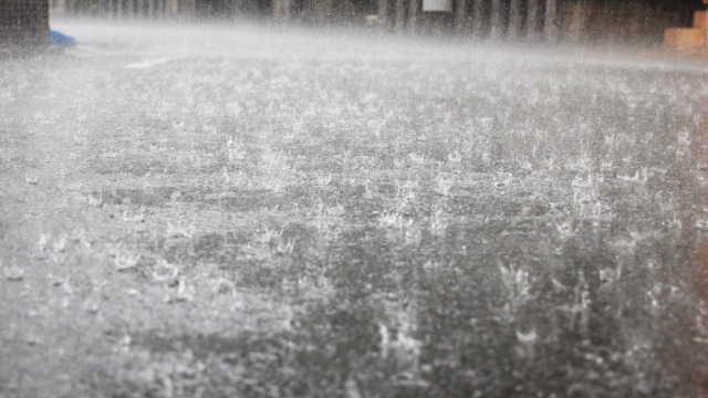 雨すごいですね…