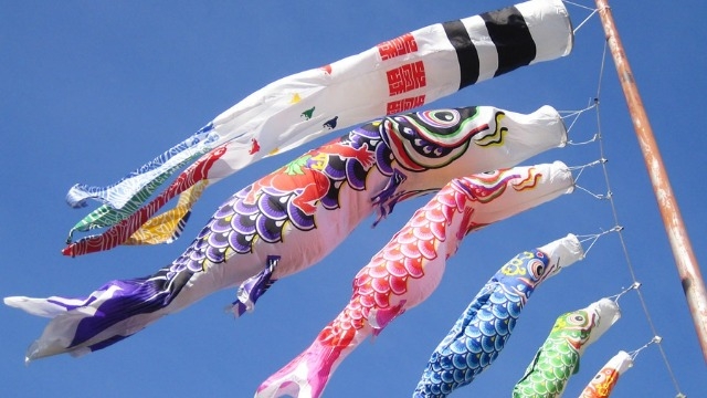 5月に入りましたよ！