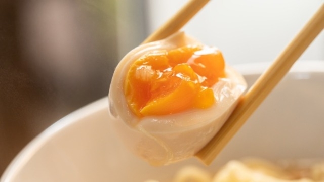 たまご生活1日目