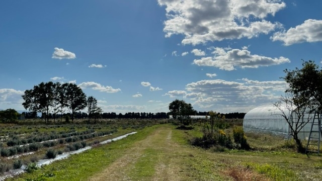 「農福連携」ご存知ですか？