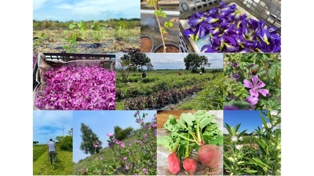 農福連携の魅力