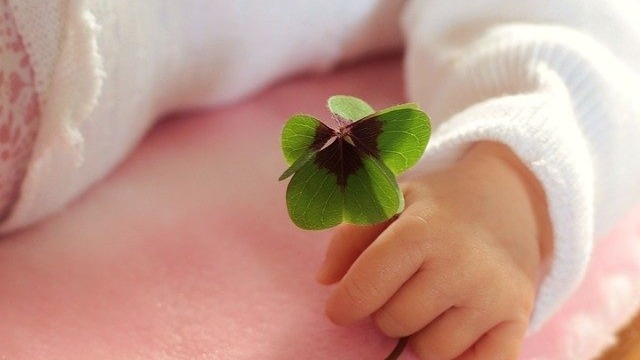 私のキャリア像について