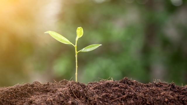 企業研究で”本当に研究すべき” リアルチェックリスト ～その２～