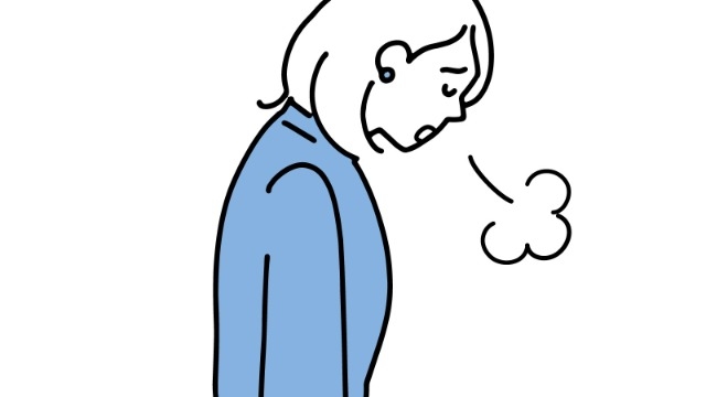 社会人半年目のリアル。仕事って、思ってたより大変。