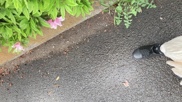 連休真っただ中ですね！！