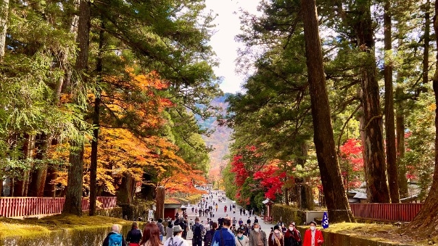 日光旅行⛩