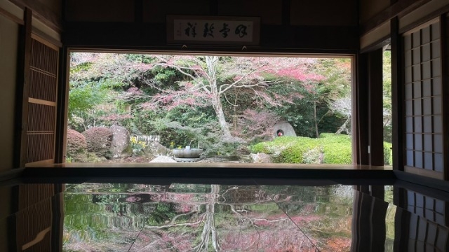 わくわくの？