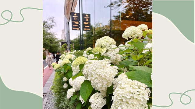 中目黒のおすすめスポット～Part.1～