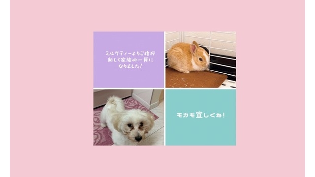 ウチは役員が育て上手！？という話