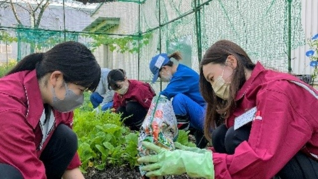 【黒坂塗装 農園委員会の日常】野菜を育てる様子をご紹介！