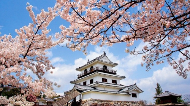 【福利厚生#2】My Story 10yearsを紹介！！