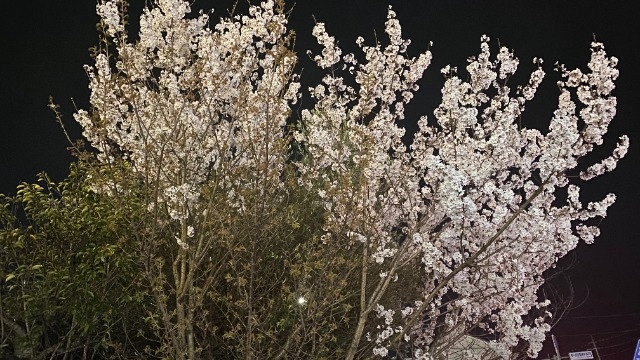 超絶個人的ニュース Part2・*:..。o○