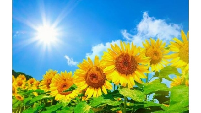 ☆先輩社員インタビュー☆ 入社後に感じたギャップ？！