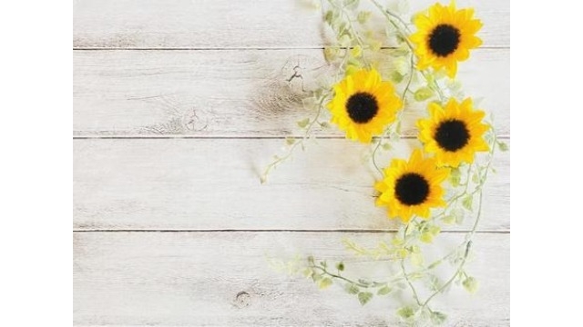 ☆先輩社員インタビュー☆ 仕事のやりがい、苦労したこと