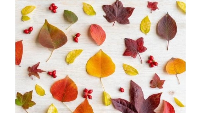 若手が活躍できる環境！