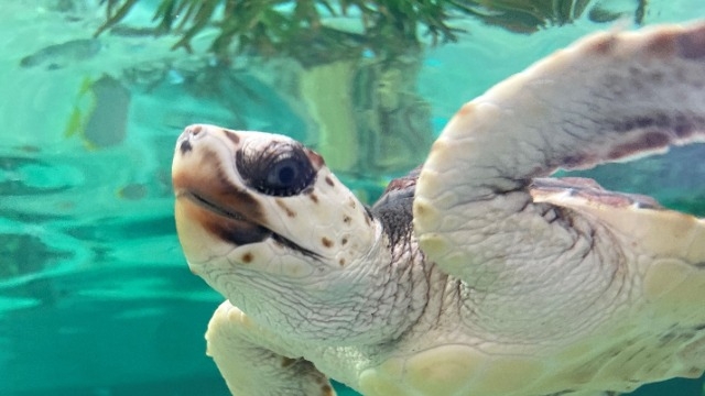 【説明会のお知らせ】10月開催日程追加しました！