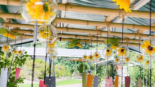 新卒４年目の夏休み