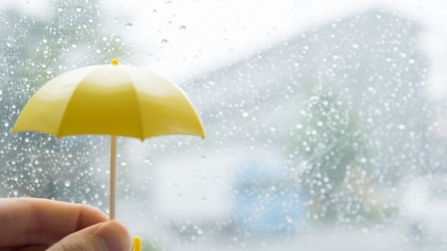 ついつい気が滅入る夏の雨の日の気分の上げ方！｜株式会社セレブリックス