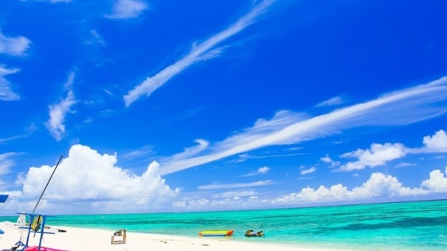 8月後半会社説明会追加日程決定！｜株式会社セレブリックス