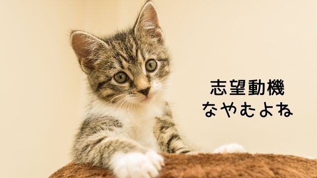 志望動機の言語化って難しい…。