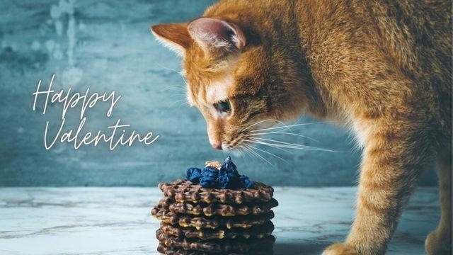 閑話休題★チョコレートの話