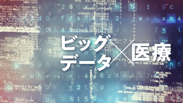 自由な環境で”Web開発”を楽しみたい！