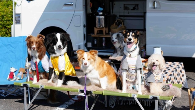 2023年もワンダフルなトイファクトリー