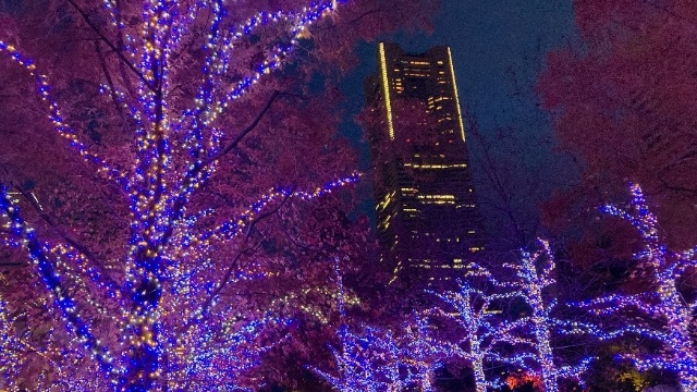 【自己紹介】採用課編②