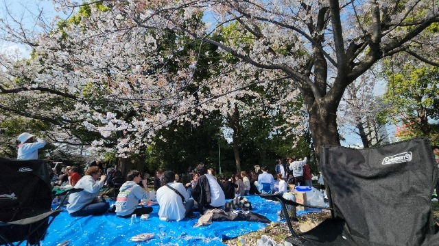 【イベント】みんなでお花見！