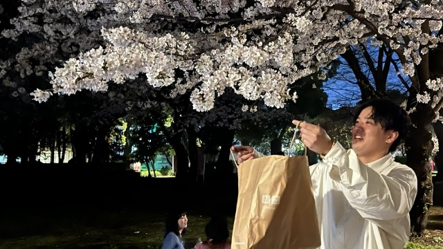 がんばった後の夜桜が目に染みる… 何をしているかは企業秘密です（笑）