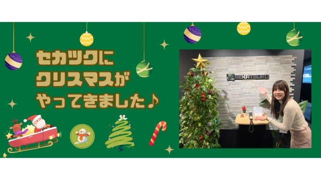 セカツクにクリスマスがやってきました♪