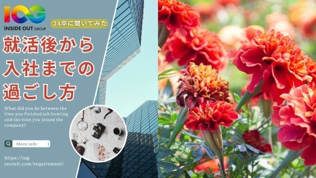 【IOGってナニ？】24新卒に聞いてみた！『就活後から入社までの過ごし方』