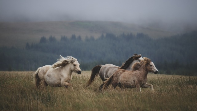 【IOGってナニ？】私の好きな言葉